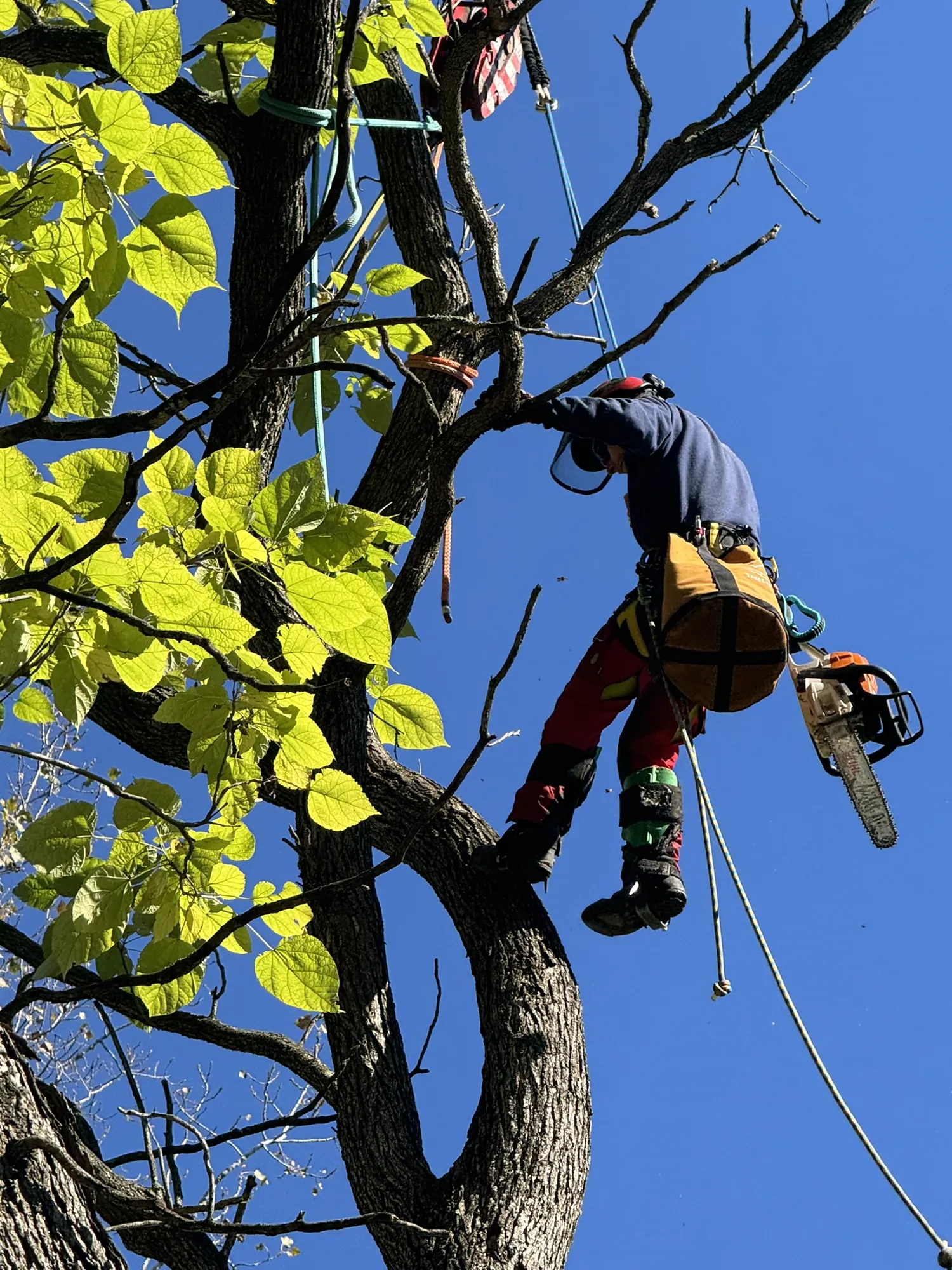 Skilled climbing