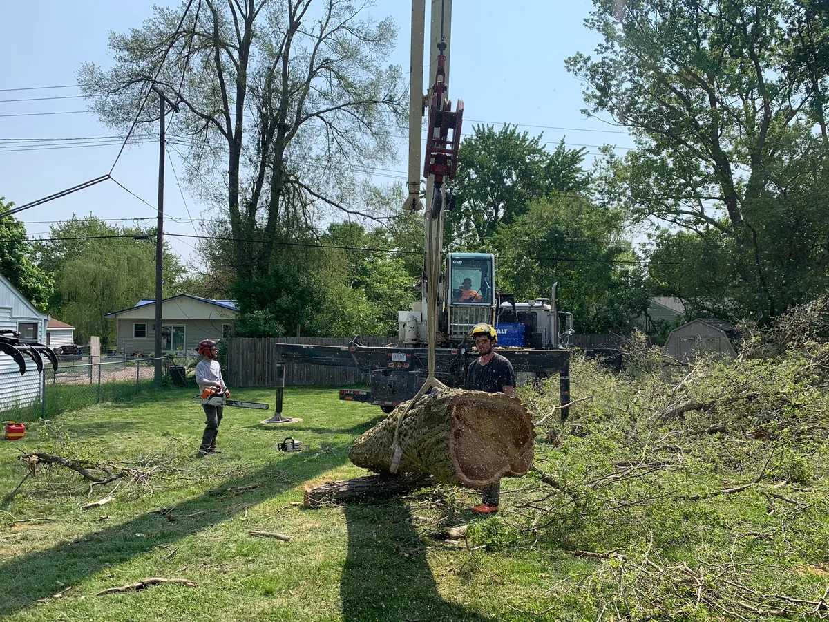 Ground crew guiding a large tree section next to the crane while another crew member works with a chainsaw