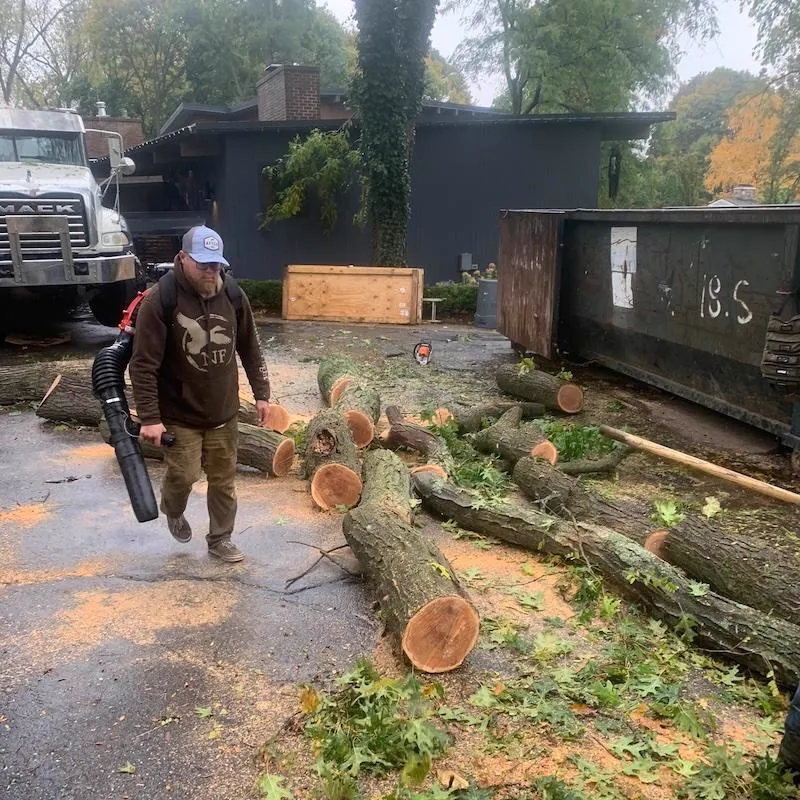 Cleanup & haul