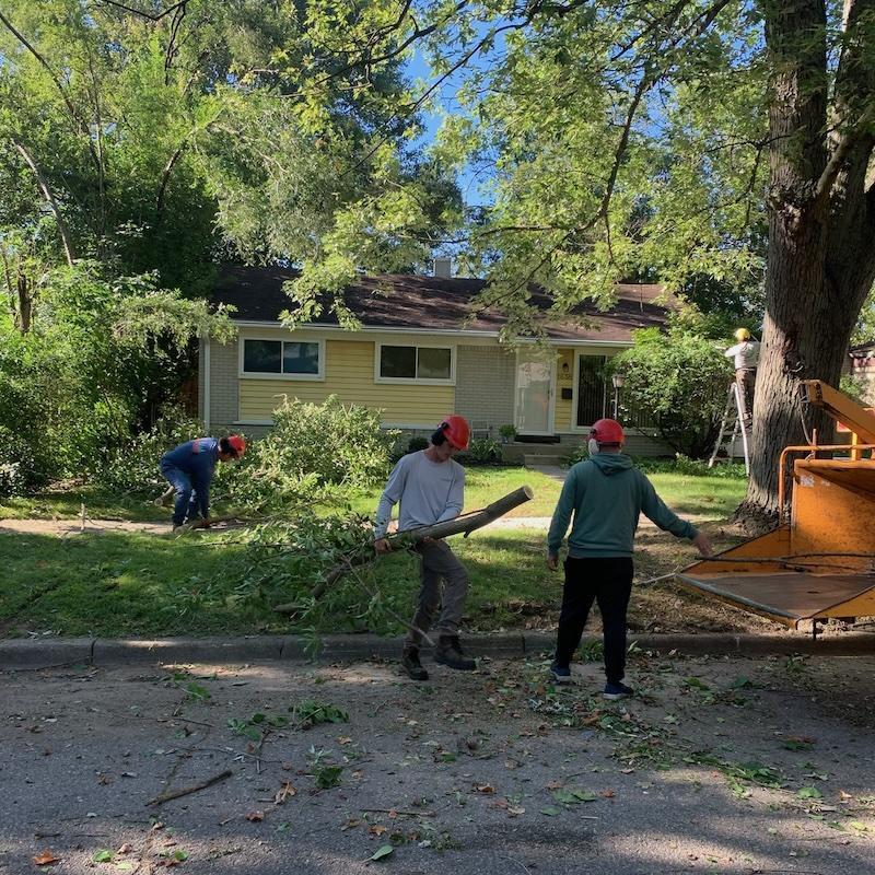 Wrenfield Tree Care crew clearing branches at a residential job site