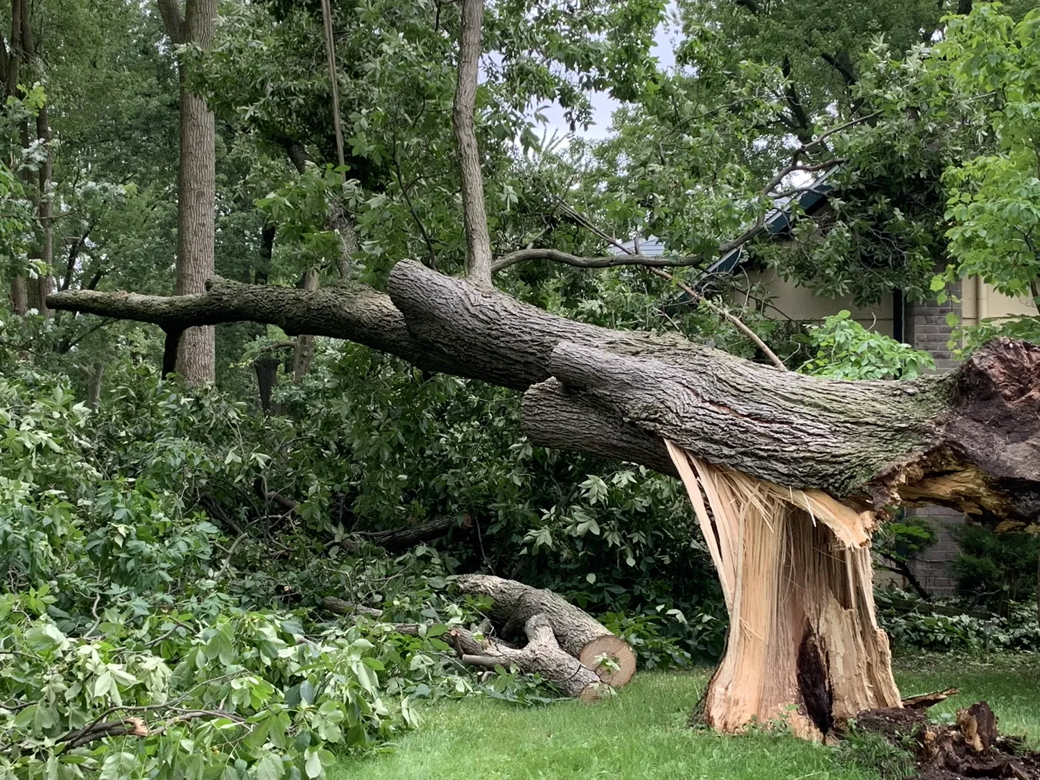 Storm response