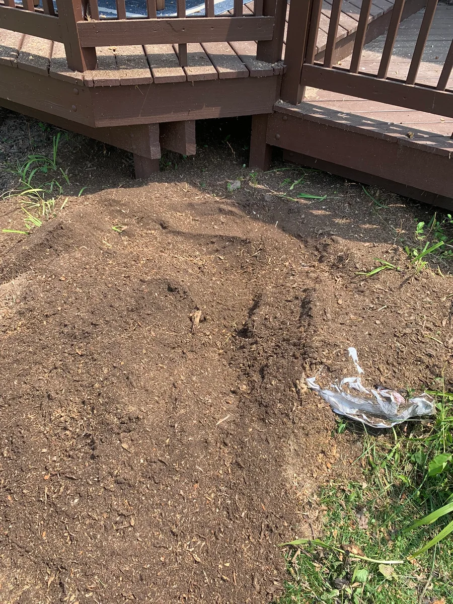 Clean ground after stump grinding and backfill